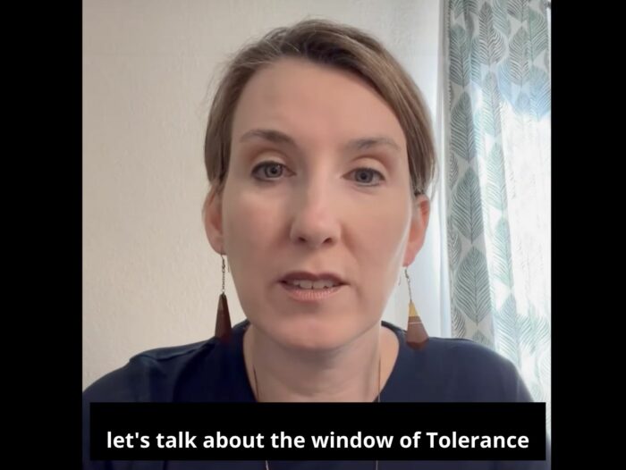 window of Tolerance